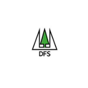 DFS