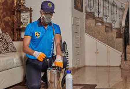 Emerging Trends in Pest Control: A Focus on Efficacy and Environmental Responsibility
