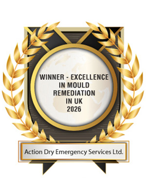 Winner - Excellence In Mould Remediation In Uk 2026