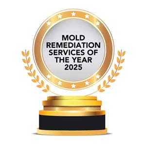 Mold Remediation Services Of The Year – 2025